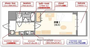 フェニックス日本橋高津【6階】の間取り