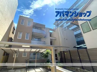 セリシール桜杏の画像