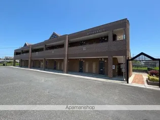 サクセス レインボーの画像