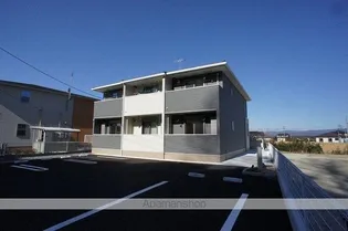 プラシード セブン Cの画像