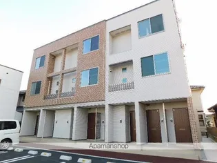 プリムローズの画像