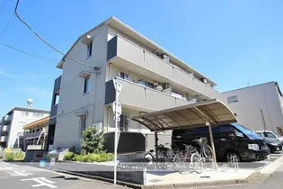 ソラーレの画像