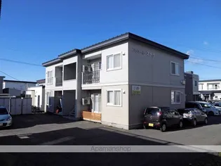 プリオールステラの画像