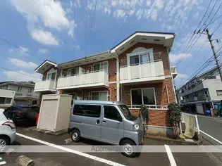 マロニエの画像