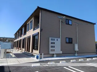 プリムローズ 日向の画像