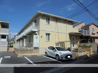 グレイスピーチの画像