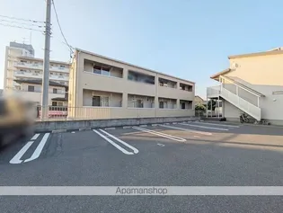 月桂樹の画像