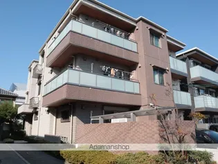 NT MAISONの画像
