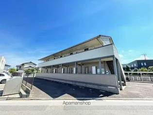 モーニンググローリーの画像