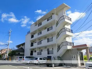 MARE谷山の画像