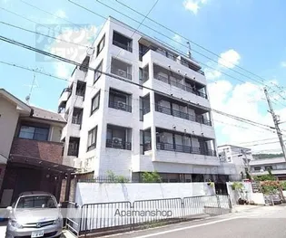 フレーヴァー北山の画像