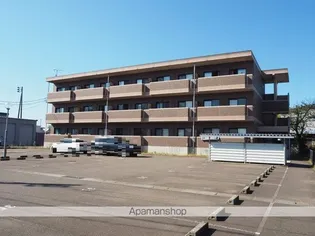 オリーヴ黒井の画像