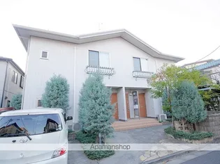 ステラ ビアンカの画像