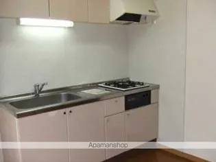 レオパレスBUNGA RAYA DUA【2階】のキッチン