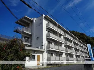 ビレッジハウス中須1号棟【403号室】の外観