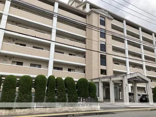 レスピーザ53の画像
