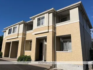 アルカネットの画像