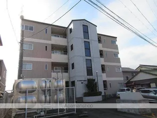 コンフォートMの画像