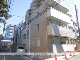 ステラカーサの画像