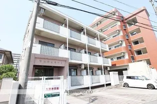 アンジェリー1の画像