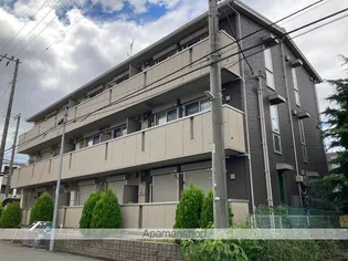 カメリアの画像