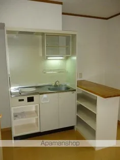 ジョイスⅡ【107号室】のキッチン