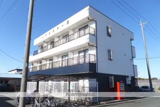 アミスターの画像