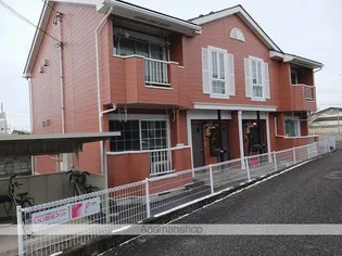 サンブライトの画像