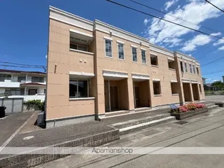 オレンジコートの画像