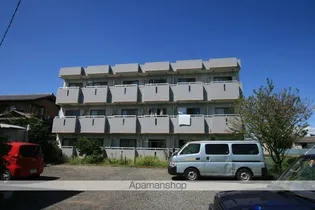 ナイスシングルスパルの画像