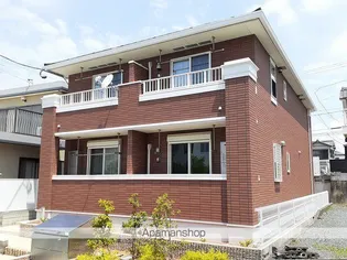 フィオリトゥーラの画像