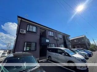 パインテイルの画像