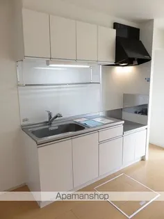 サン・スカイM Ⅳ【1階】のキッチン