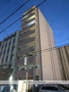 タイニーグローブの画像