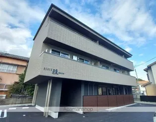 ベレオ雅の画像