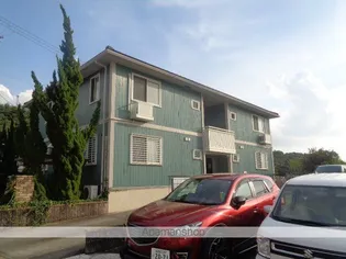 ルピナスの画像