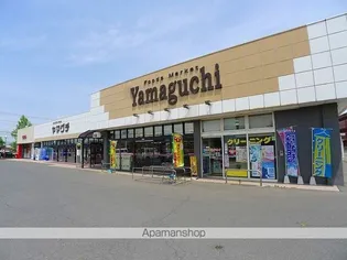 ドリームタウンB【2階】の周辺