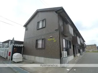 パルムドール01の画像