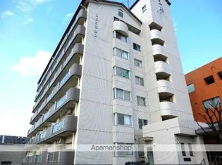 ロビニエ豊成の画像