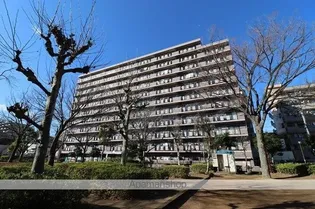 グランディス新八柱【2階】の外観