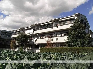 ハーネス真南風の画像