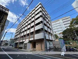 カルミア 甲子園の画像