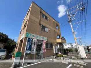 シャインパレスの画像