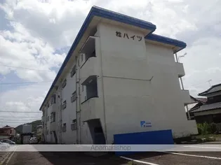 桂ハイツ【103号室】の外観