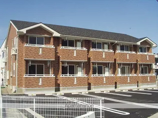 セラヴィの画像