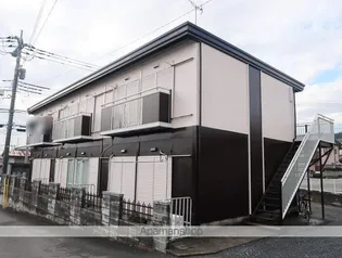 パナハイツハーモニーの画像