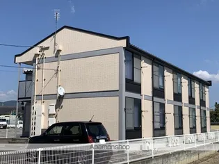 レオパレスミレナリスの画像
