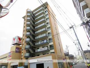 ボワ デ コガネの画像