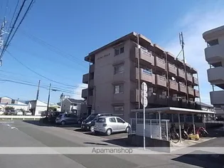 ロイヤルマルトウの画像
