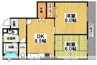 メゾン菱木【301号室】の間取り